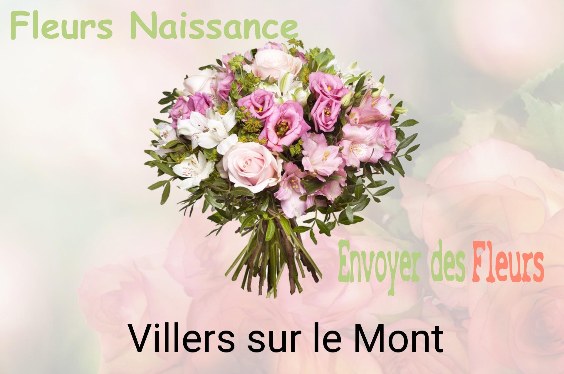 Bouquet de fleurs de naissance livré à Villers-sur-le-Mont